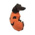 thumbnail image 3 of Midlee Pumpkin Face Dog Shirt Costume (Small), 3 of 4