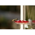 thumbnail image 2 of More Birds 3-en-1 Mangeoire à Colibri - Capacité de 6oz de nectar & 3 Orifices de Protection des Abeilles &, 2 of 4