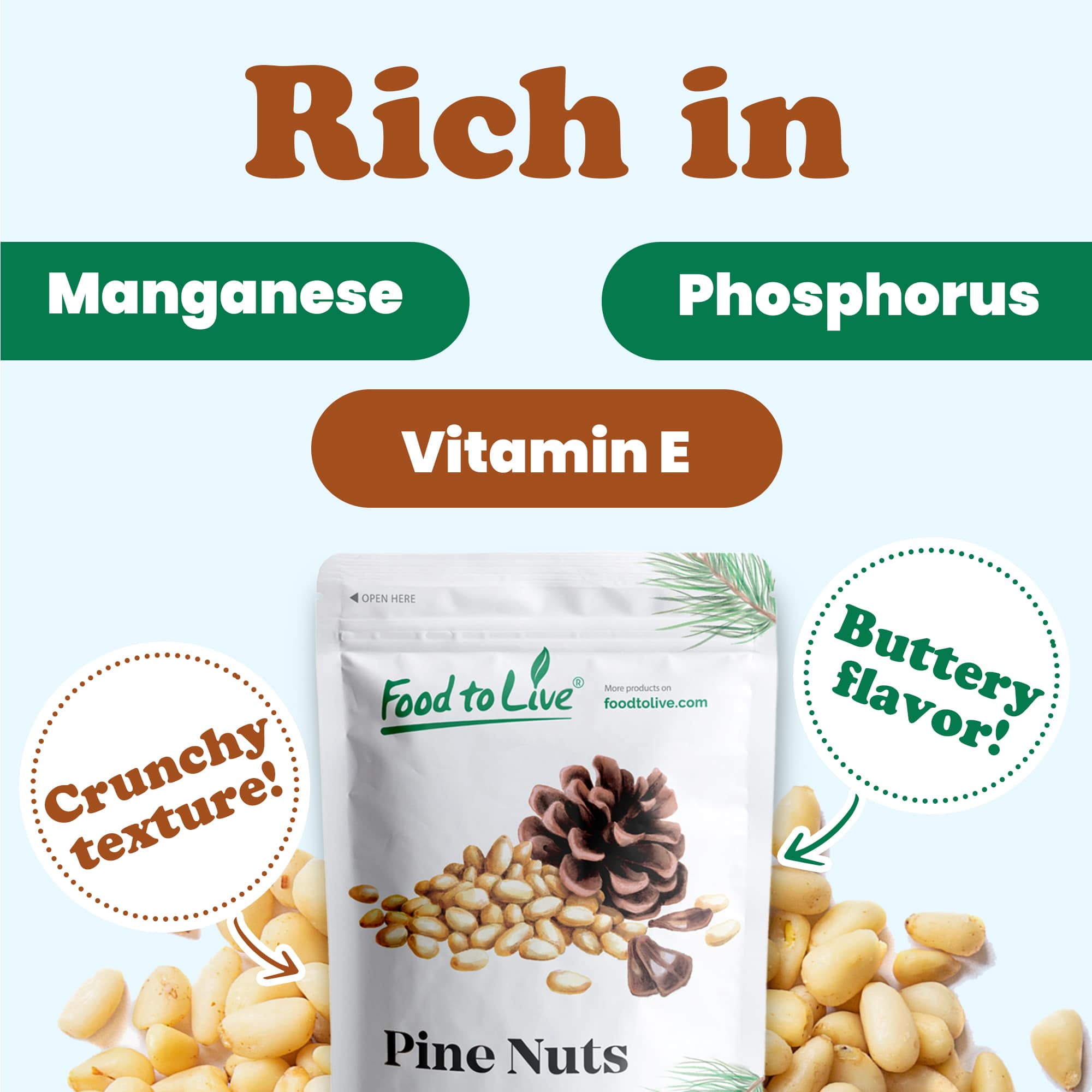 Food to Live Whole Pine Nuts, 8 Pounds, Non-GMO Verified, Raw Pignolias