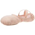 thumbnail image 1 of Zapato de Danza Bloch Performa 5.5C Rosa Teatral, 1 of 4