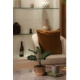 thumbnail image 3 of Artificial Calathea plant in pot - Bianca, 3 of 3