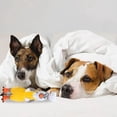 thumbnail image 2 of Latex Flying Chicken Squeaky Dog Toy Teething Interactive Toy Boredom Relief Pet Toy for Dogs, 2 of 6