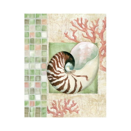 - Mosaic Shell Collage I Print Wall Art By Paul Brent