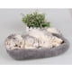 thumbnail image 4 of Estera para pisar gatos Cama para gatos Cama para perros Calentador de felpa suave para bebés pequeños Gris S, 4 of 7