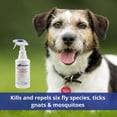 thumbnail image 2 of Aerosol Farnam para pulgas y garrapatas, 1180 ml, citronela a base de agua, 2 of 5