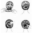 thumbnail image 4 of CNKOO 4 Pcs/ensemble Pince à Cheveux Créateur de Chignon Design Twist Tressage Queue de Cheval Accessoire, 4 of 10