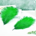 thumbnail image 4 of Plumas artificiales de avestruz verde para plantas voladoras, 15 unidades, 30 a 35 cm, 4 of 6
