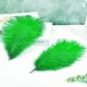 thumbnail image 4 of Plumas artificiales de avestruz verde para plantas voladoras, 15 unidades, 30 a 35 cm, 4 of 6