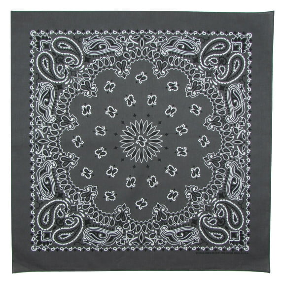 Bandanna Co Paisley, Charcoal, 22" x 22" (2nd)