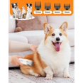 thumbnail image 4 of Kit de aseo con aspiradora Simple Way Professional para perros con cortaúñas, 4 of 9