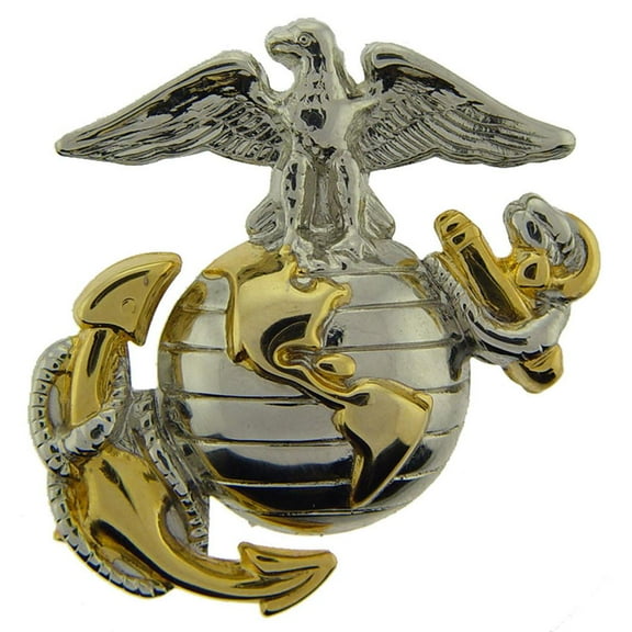 Eagle Emblems P16362 Pin - USMC, Emblem, E2, Left - Cap - Gold & Silver - 1.63 in.