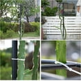 thumbnail image 5 of 14"x14"x60" Dragon Fruit Trellis - Durable Metal Vertical Support Frame for Climbing Plants, Easy Assembly with Instructions, for Dragon Fruit Enthusiasts, 5 of 8