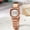 Rose with White Plate, variant on Fashion Steel Belt Small Square Women's Watch Ins Simple Temperament Quartz Watch