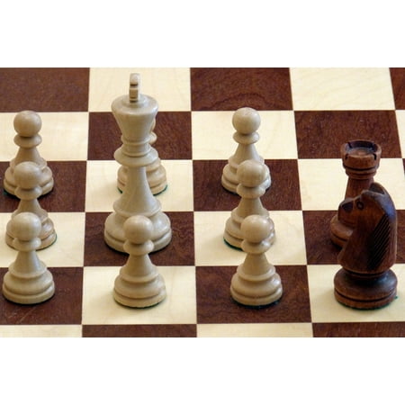 Laminated Poster Chess Farmers Black White Pieces King Laminated Poster Chess Farmers Black White Pieces King 24x16 Adhesive Decal