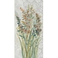 thumbnail image 2 of OToole, Tim 11x18 Black Ornate Wood Framed with Double Matting Museum Art Print Titled - Patch of Wildflowers I, 2 of 4