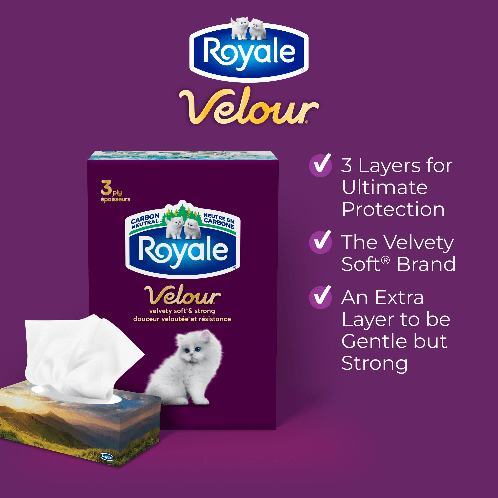 Royale Velour, 3 Ply Facial Tissue, 12 Flat Boxes, 82 Tissues per Box