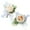 Champagne, variant on Tnobhg 2Pcs Rose Wrist Flower Corsage Boutonniere Set Elegant Wedding Accessories for Prom White Suit Decorations