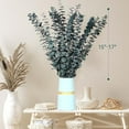 thumbnail image 2 of GoXteam 20pcs Blue Dried Eucalyptus Stems, Natural Eucalyptus Branches for Shower Hanging, 17" Preserved Plants Steam Shower for Women and Men, Relaxation Set, Mother's Day, 2 of 7