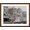 Brown Frame, variant on Art.com New Orleans, La., Mardi Gras Day, Thered Pageant Stretched Canvas Print Wall Art, 16" x 12"