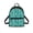 Skateboarding Dinosaur Print, variant on HELLHERO Bat Design Small Backpack, Lightweight Polyester Mini Backpack for Shopping Hiking, Front Pocket Lightweight Daypack Backpack