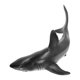 thumbnail image 3 of Modelo de Figuras de Animales Marinos Juguete de Tiburón Simulado de Plástico Modelo de Vida Marina Juguetes Educativos Figura de Tiburón Juguete para Niños ANGGREK Otros, 3 of 8