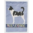 thumbnail image 1 of Carolines Treasures BB8329GF Canaan Dog Welcome Flag Garden, 1 of 3