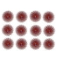 thumbnail image 2 of 3m Radial Bristle Discs Brushes Red 220 Grit 3/4" Pack Of 12 Bristle Disc Brush, 2 of 3