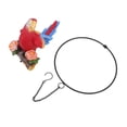 thumbnail image 2 of Crafts, Waterproof Hanging Iron Ring Parrots Exquisite Prevent Fading  For Balcony For Garden, 2 of 8