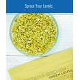 thumbnail image 6 of Grown in Montana Green Lentils | 4 lb Linen Drawstring Bag | Non-GMO | Kosher | Vegan | Non-Irradiated, 6 of 7
