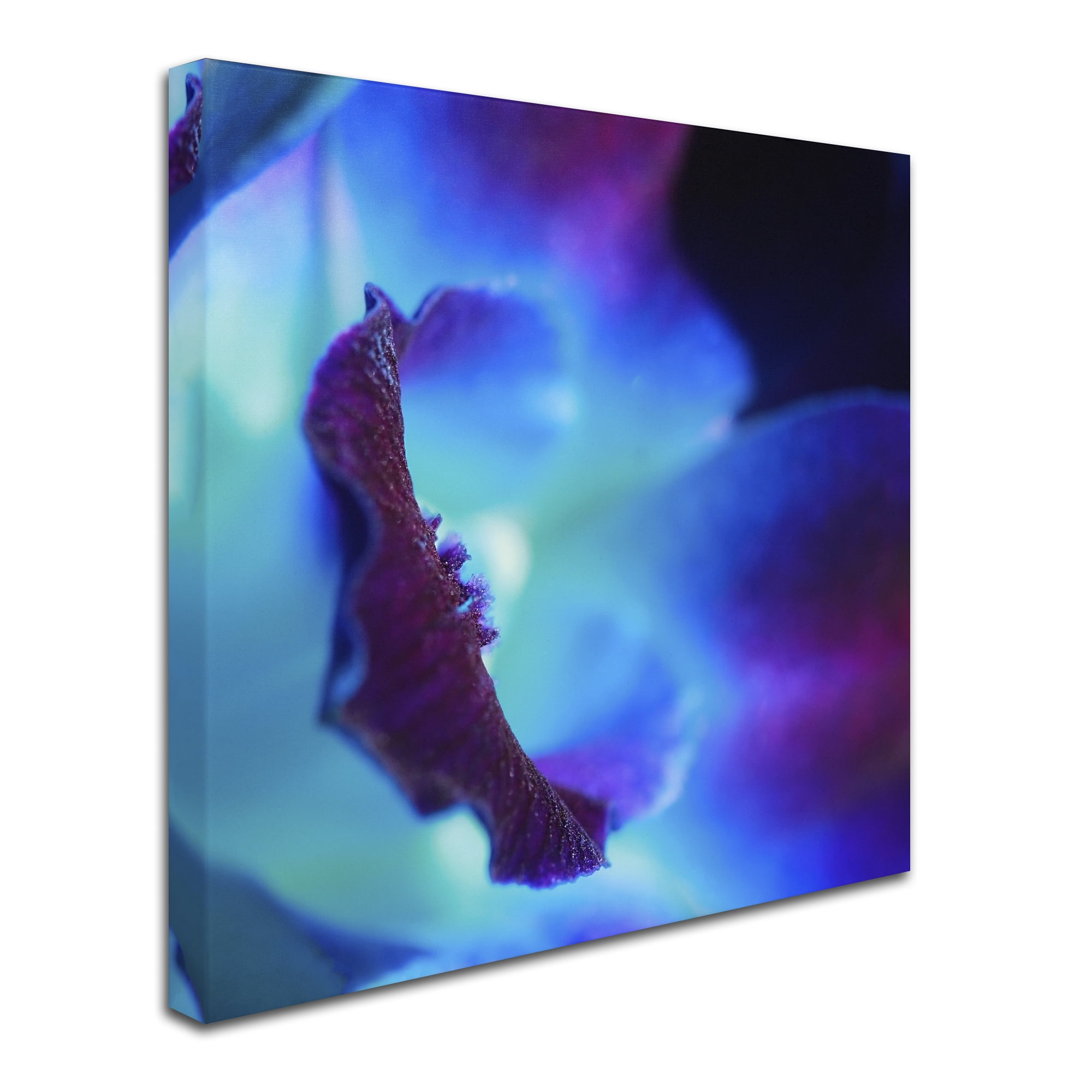 Trademark Fine Art "Colours of Tomorrow" Canvas Art by Beata Czyzowska Young