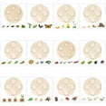 thumbnail image 3 of ZheElen Simulation Insect Animal Growth Kindergarten Model Educational Teaching Learning Imagination Cognition Toys Children Type 5, 3 of 8