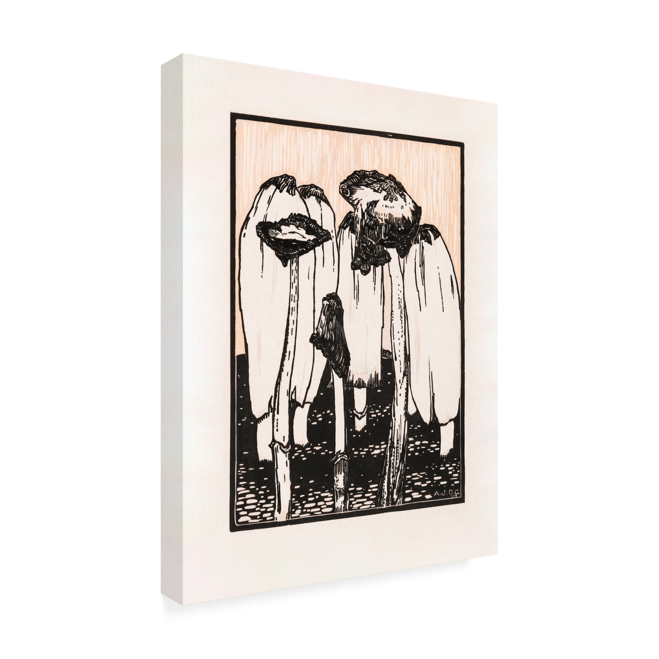 Trademark Fine Art Pictufy  Ink Mushrooms 1915 Canvas Wall Art