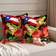 thumbnail image 2 of Outdoor Pillow Covers Country Red Flowers Frog Waterproof Pillow Cases 24x24 Set of 2, Puerto Rico Flag Throw Pillow Cover Pillowcase for Patio Balcony Couch Garden, 2 of 9