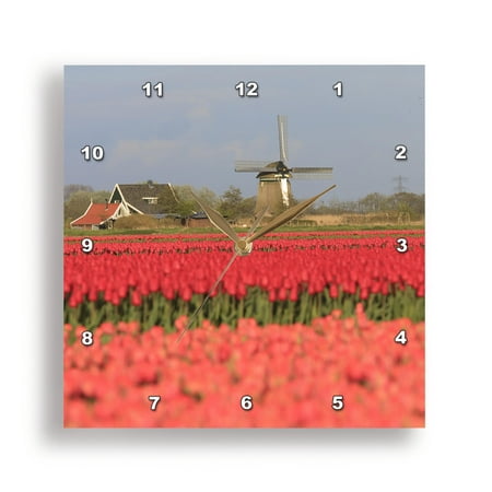 3dRose, Het Zand, North Holland, Netherlands. Tulip fields and windmill., 15x15 Wall Clock