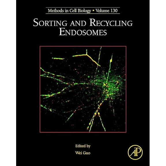 Methods in Cell Biology Sorting and Recycling Endosomes: Volume 130, Book 130, (Hardcover)