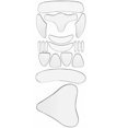 thumbnail image 4 of Kit de 18 piezas de adhesivo facial antiarrugas y líneas, 4 of 9