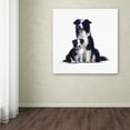 thumbnail image 3 of Trademark Fine Art 'Sheepdog' Canvas Art by The Macneil Studio, 3 of 3