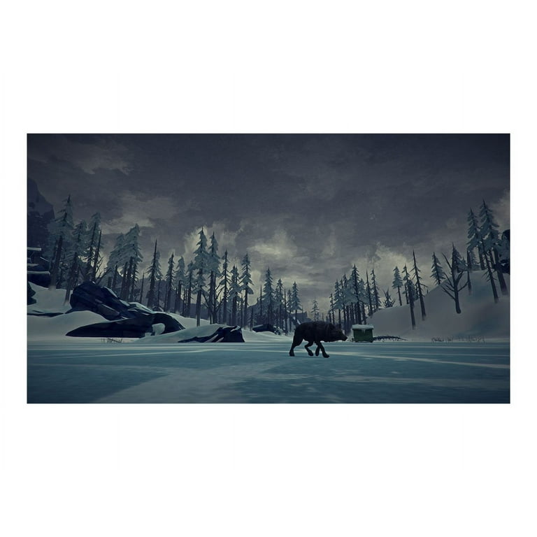 PlayStation4 - 日本語対応 欧州版 ロングダーク THE LONG DARK PS4 Amazon.com: The Long Dark (PS4) : Video Games