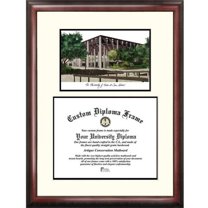 University of Texas, San Antonio 11" x 14" Scholar Diploma Frame