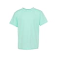 thumbnail image 2 of Hanes Ecosmart Youth Short Sleeve T-Shirt, 2 of 3