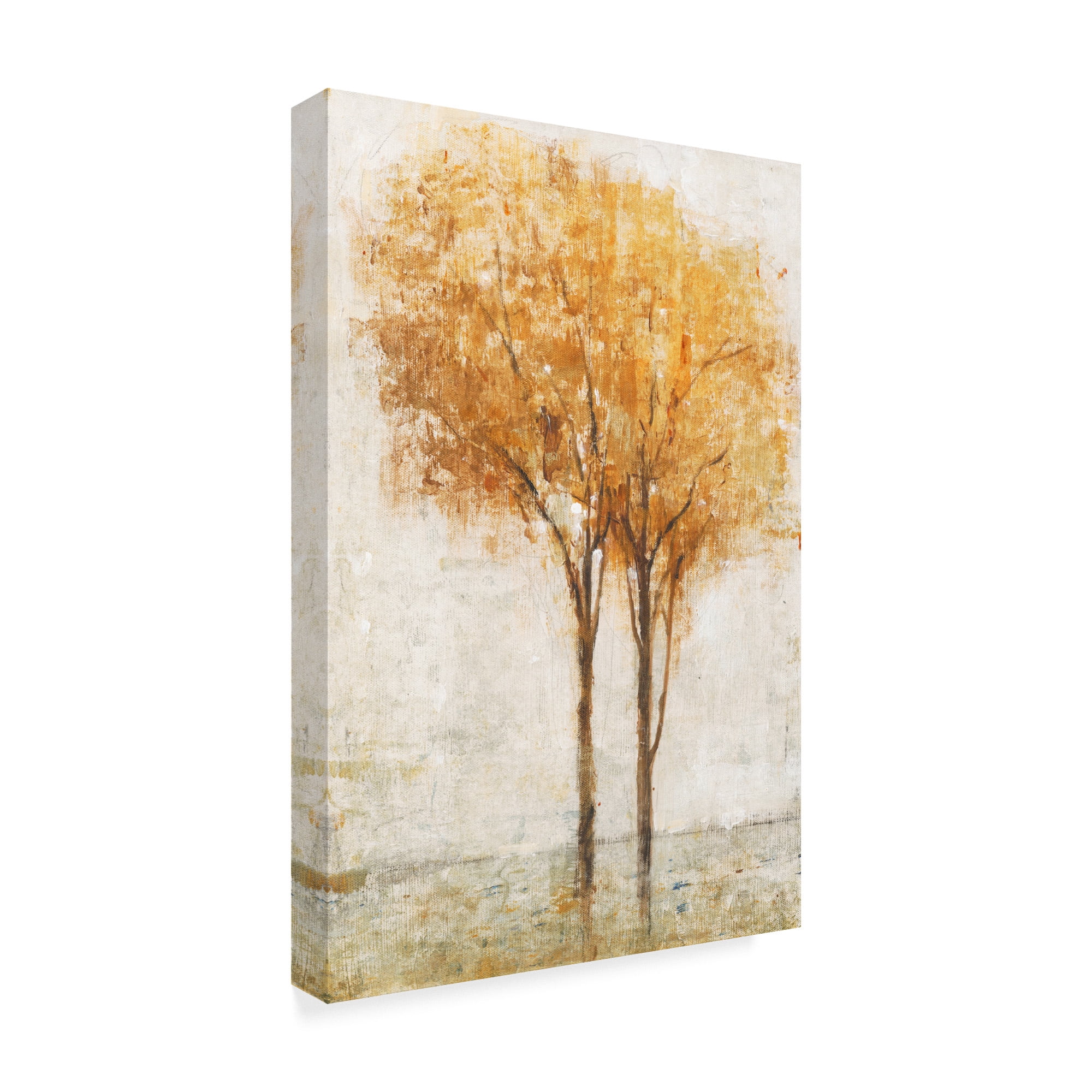 Trademark Fine Art 'Falling Leaves II' Canvas Art by Tim OToole