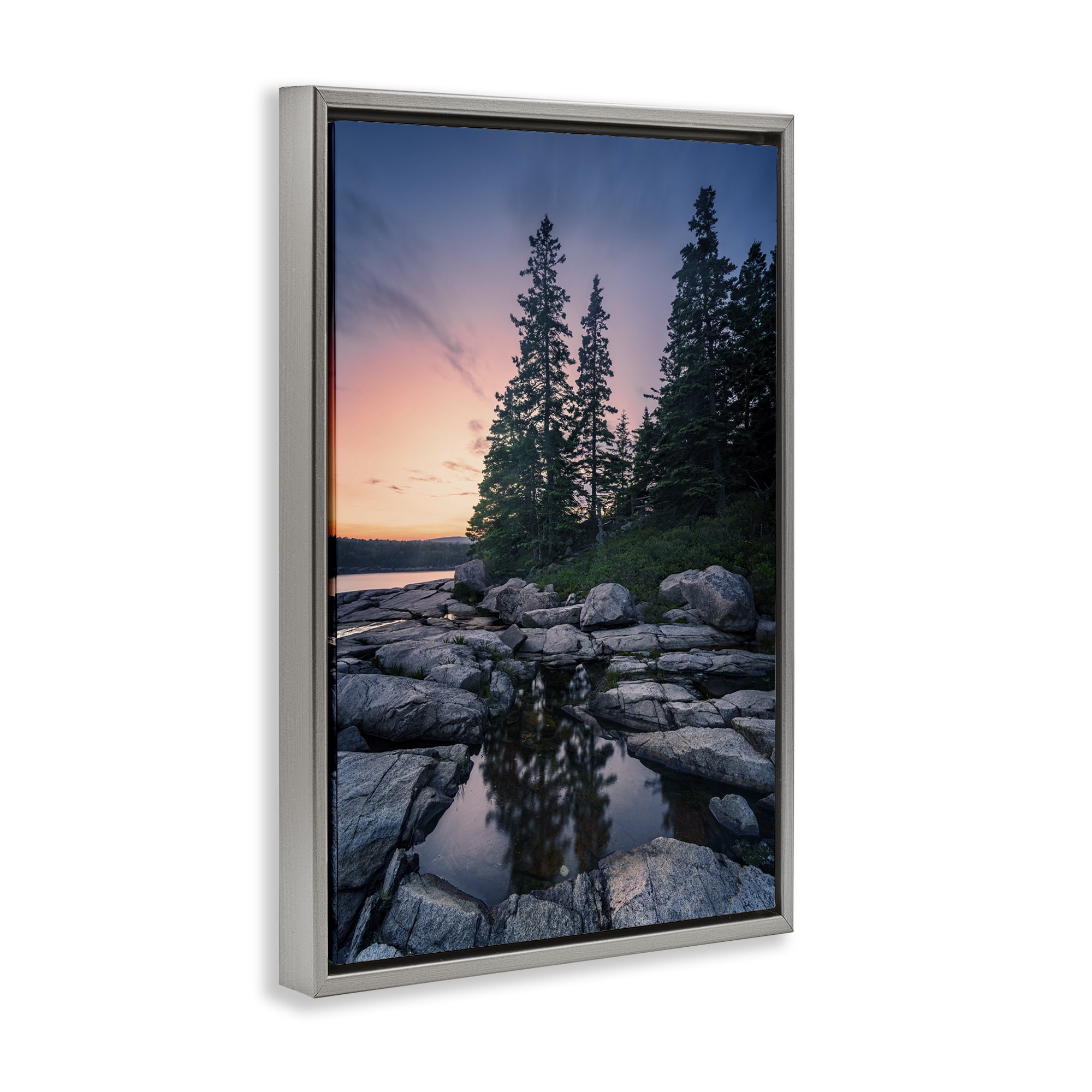 Stupell Industries Trees Reflected in Tide Pool Landscape & Nature Photography Gray Floater Framed Canvas Art Print Wall Art, 21 x 31