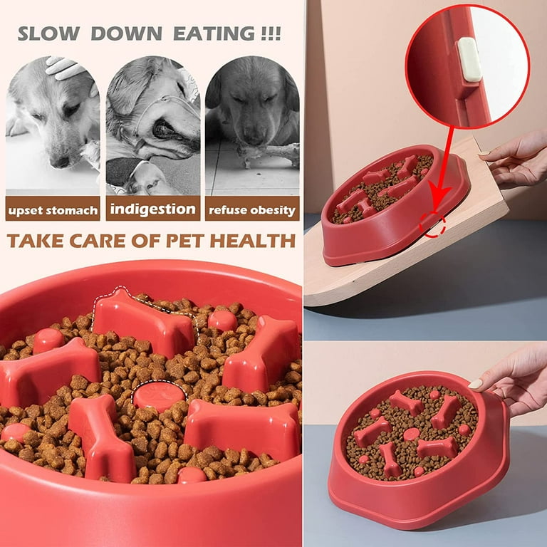 Slow Dog Feeder Slow Feeding Puppy Dog Bowls Food Puzzle Pet Bowl