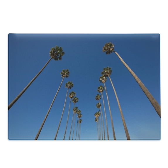Palm Tree Cutting Board, Palms and Clear Blue Sky Scene Tropical Plant Summer Exotic Nature Illustration, Decorative Tempered Glass Cutting and Serving Board, Large Size, Green Blue, by Ambesonne