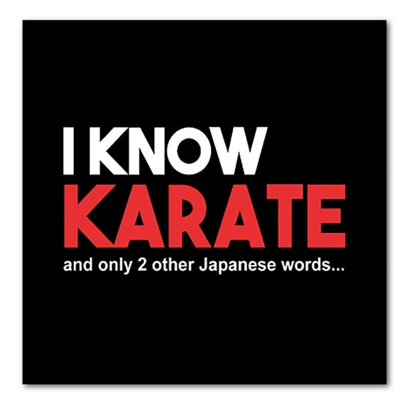 DistinctInk Custom Bumper Sticker - 10" x 10" Decorative Decal - Black Background - I Know Karate and Only 2 Other Japanese Words