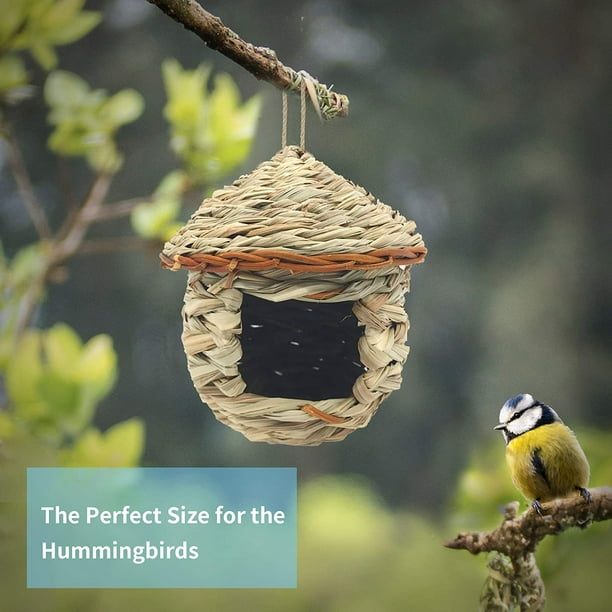 HTOOQ Maison pour colibris, nichoirs tissés à la main en herbe pour  suspendre à l'extérieur, cabane à oiseaux naturelle pour l'extérieur, nichoirs  pour Audubon Finch Canary Chickadee 