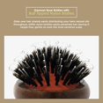 thumbnail image 3 of Cepillo de pelo Spornette Boar Bristle Porcupine para mujer, 3 of 7