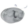 thumbnail image 1 of Mesh Wedding Hat Women Feathers Fascinator Fashion Party Ribbons And Hat Baseball Caps, 1 of 1