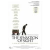 The Sensation of Sight (2008)