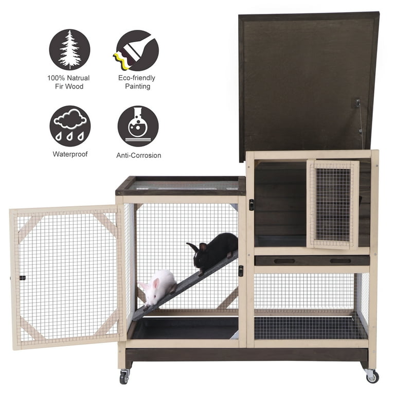 Moving an indoor rabbit outdoors hotsell
